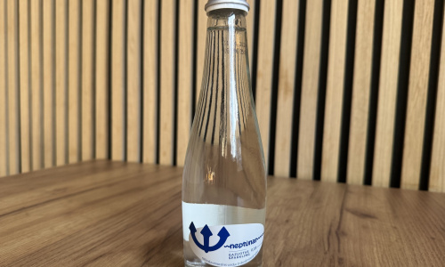 Gazuotas vanduo 0,25 l